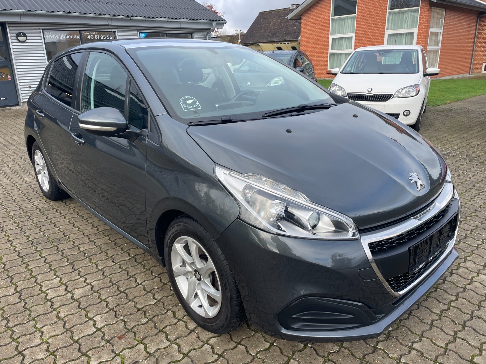 Peugeot 208 BlueHDi 100 Sky Winter Edition