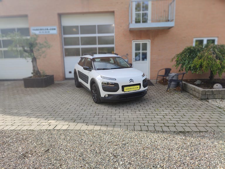 Citroën C4 Cactus BlueHDi 100 Feel Van