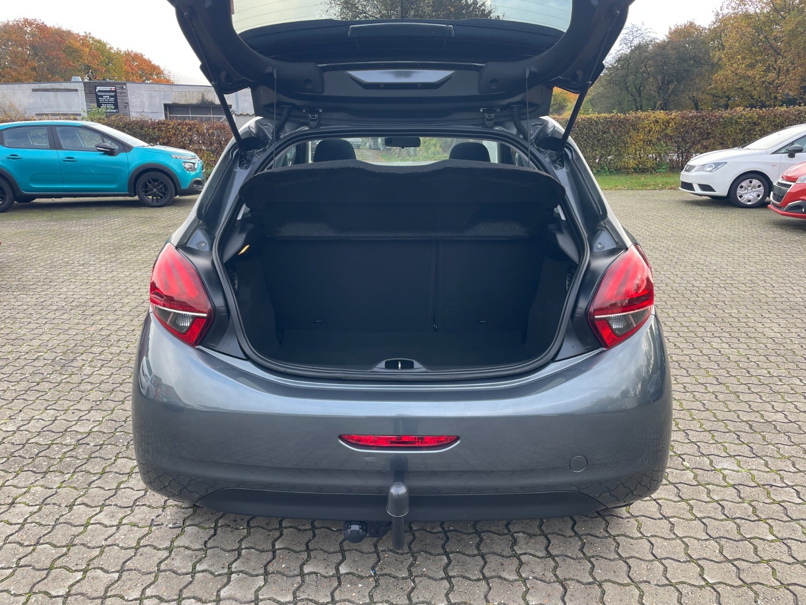 Peugeot 208 BlueHDi 100 Sky Winter Edition