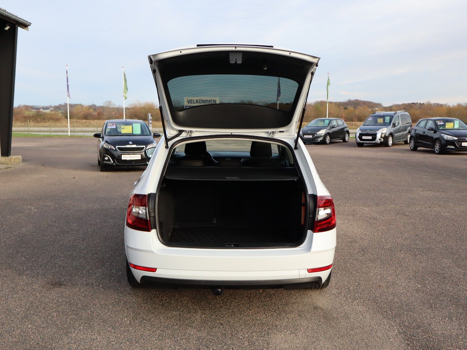 Billede af Skoda Octavia 1,5 TSi 150 Style Combi