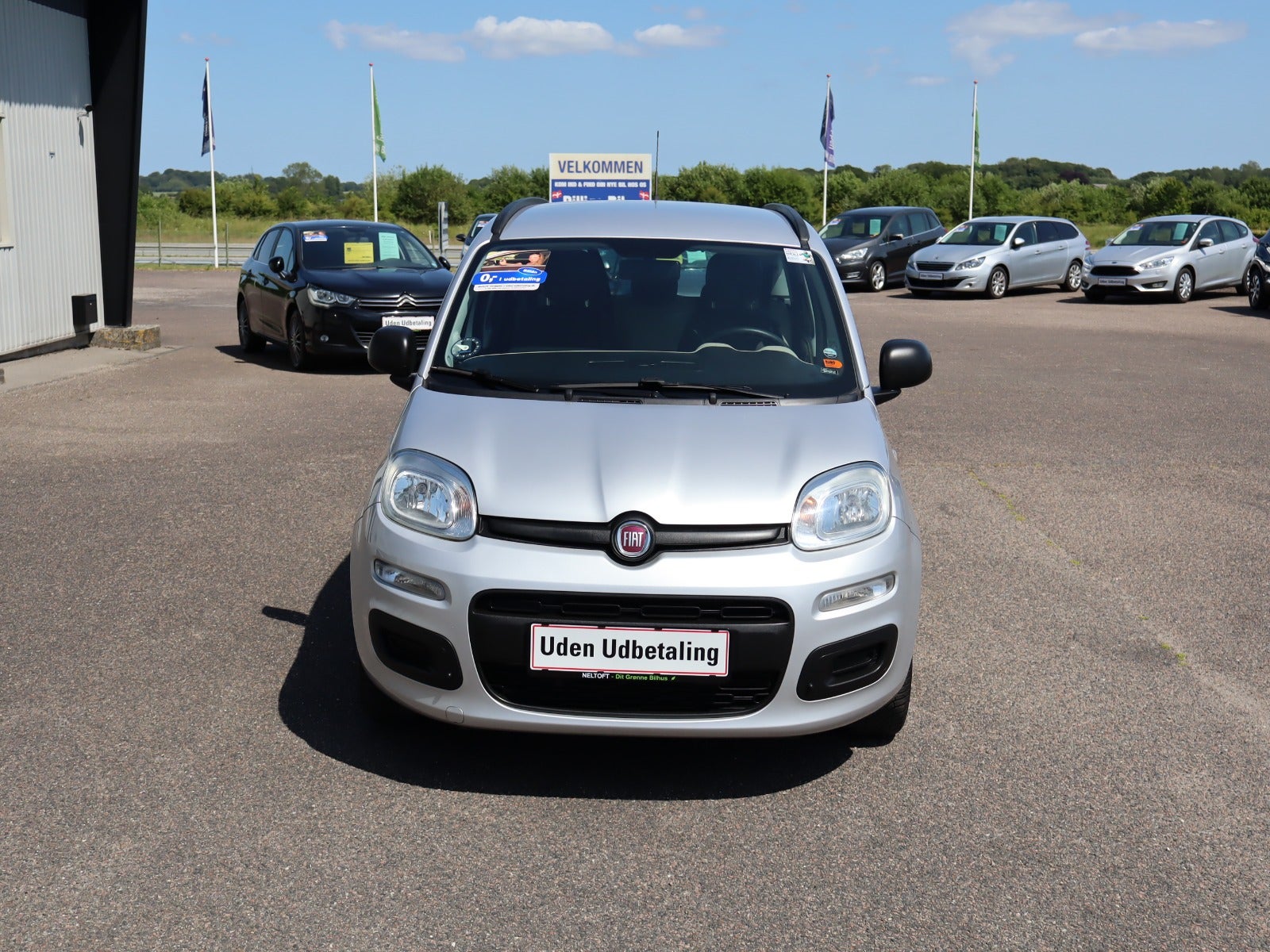 Billede af Fiat Panda 0,9 TwinAir 65 Popstar