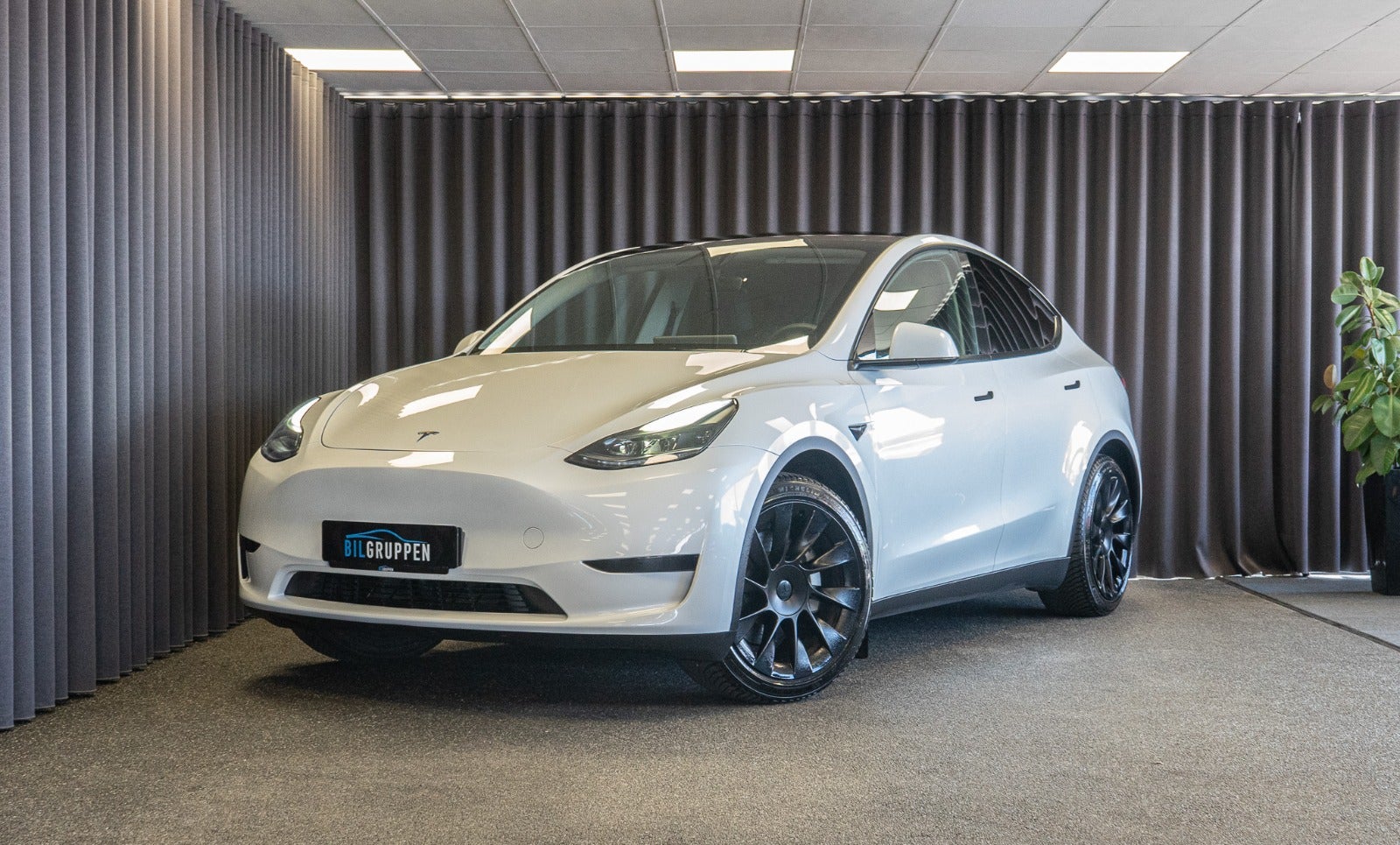 Billede af Tesla Model Y  RWD