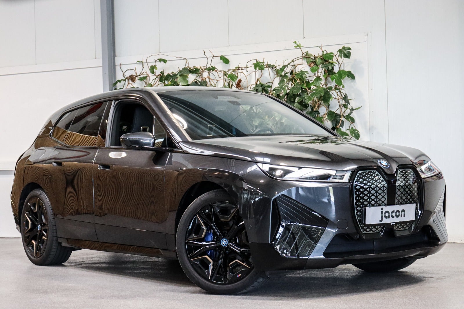 BMW iX xDrive50 Sport