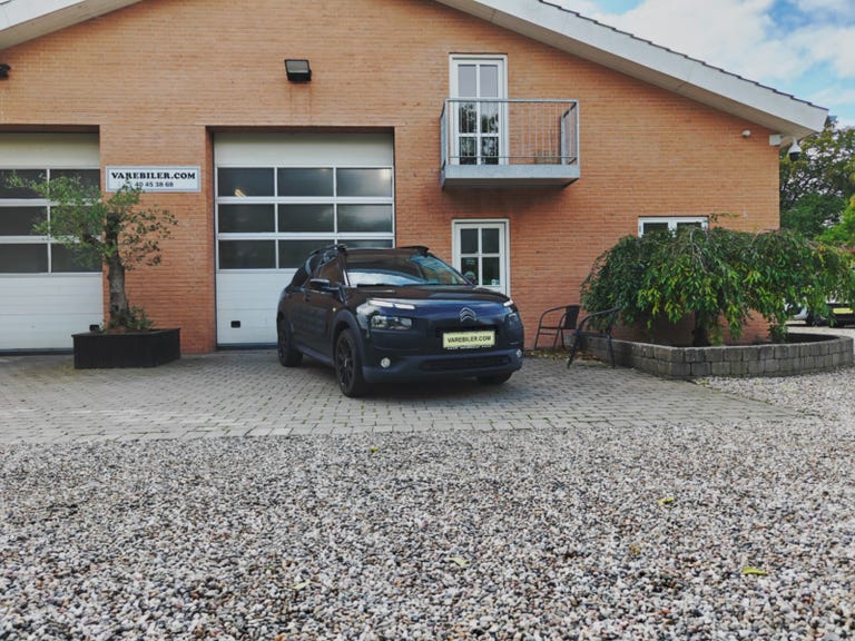 Citroën C4 Cactus BlueHDi 100 Feel Van