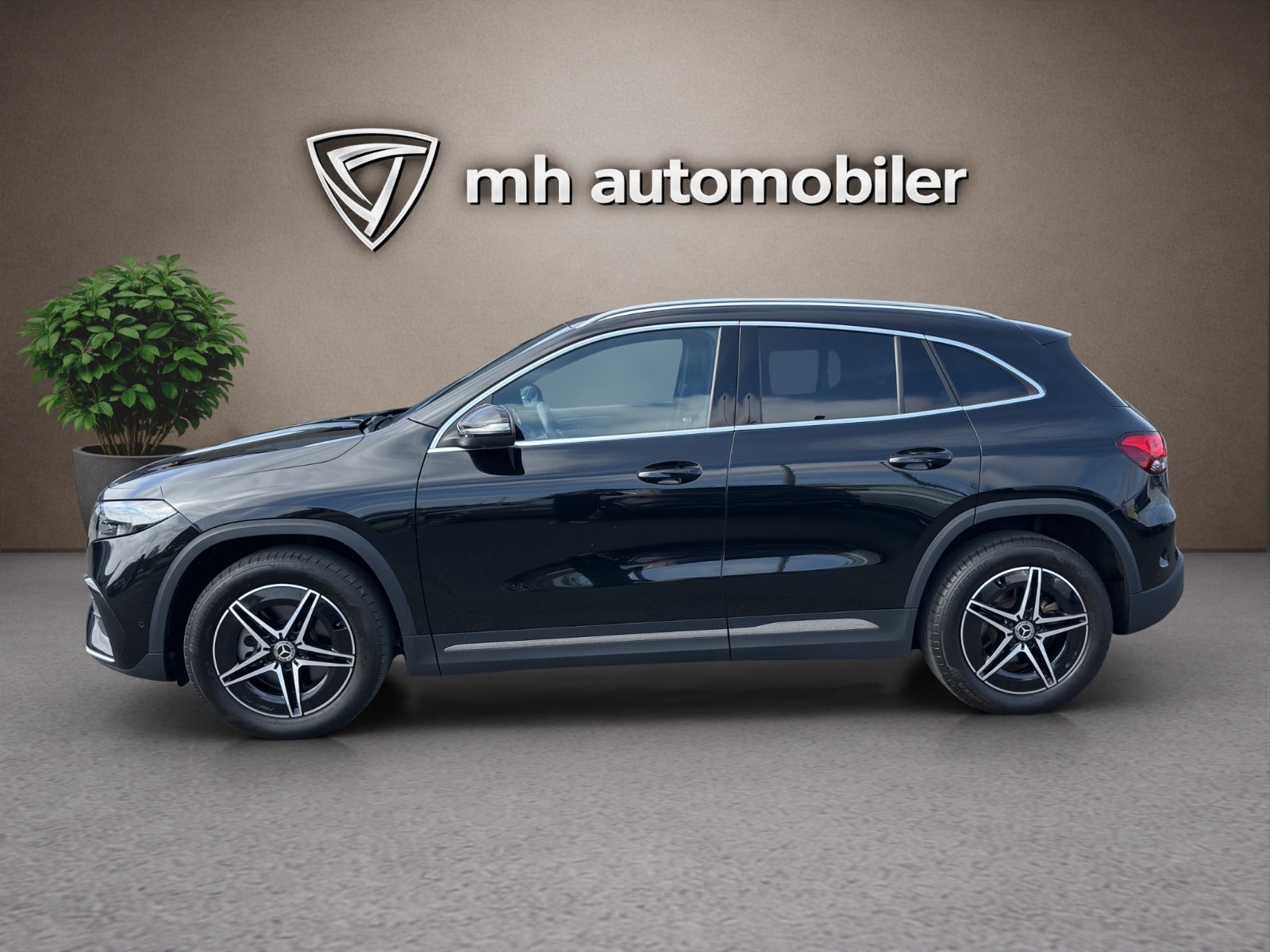 Billede af Mercedes EQA250+  AMG Line