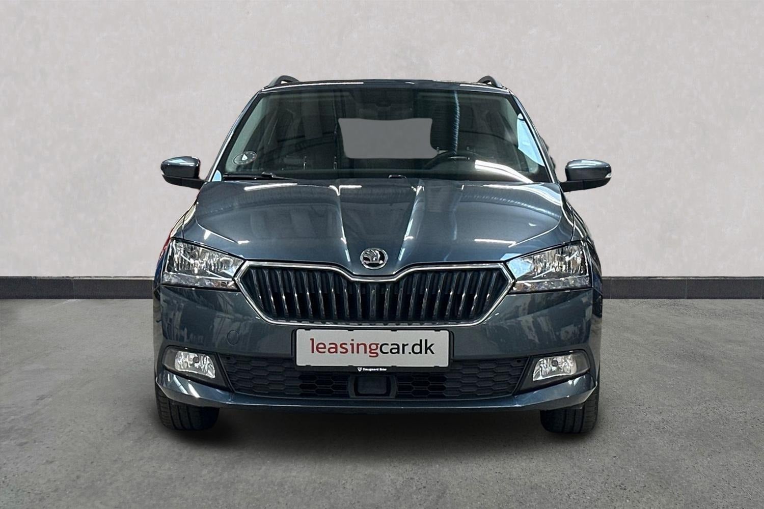 Billede af Skoda Fabia 1,0 TSi 95 Dynamic Combi DSG