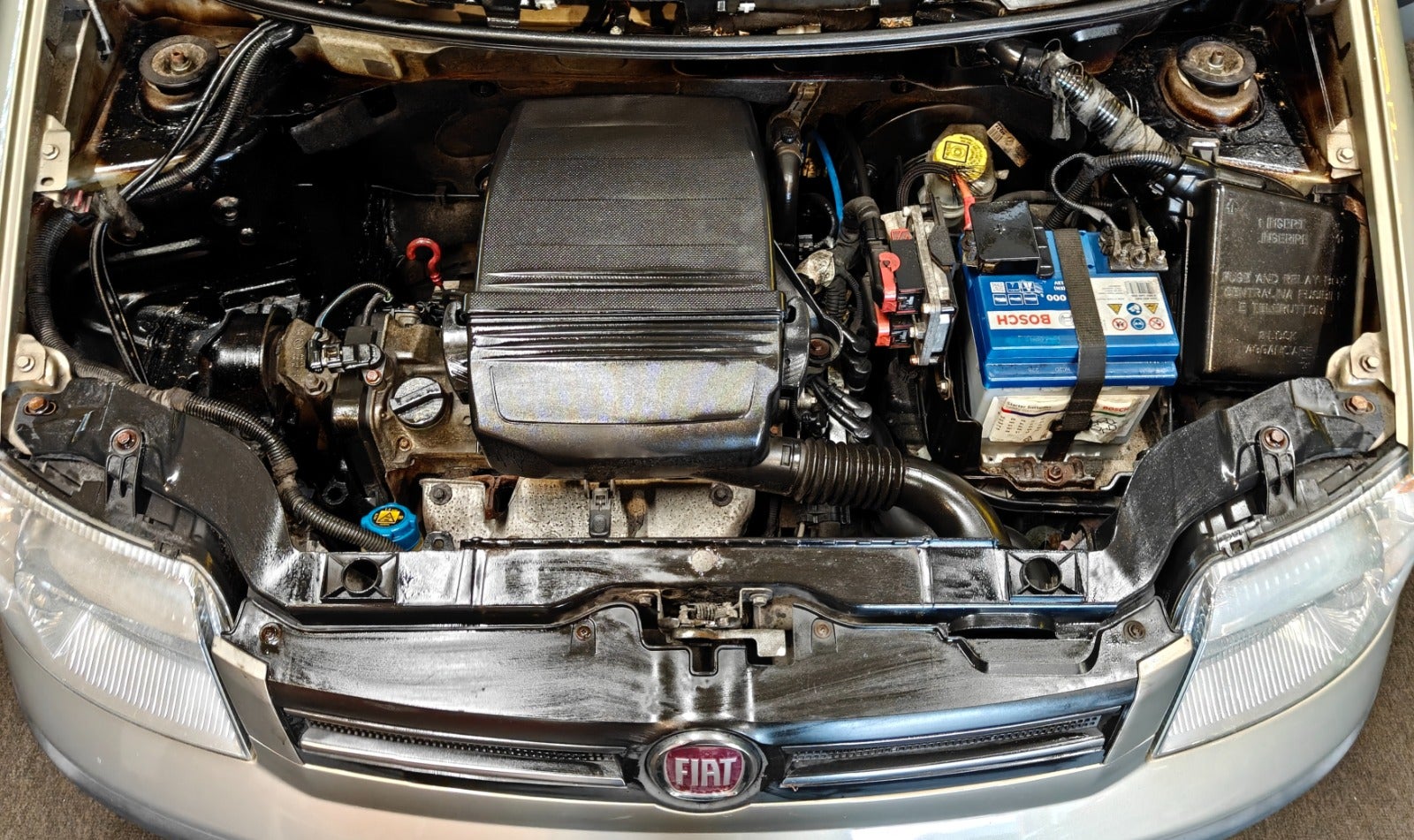 Billede af Fiat Panda 1,2 Ciao