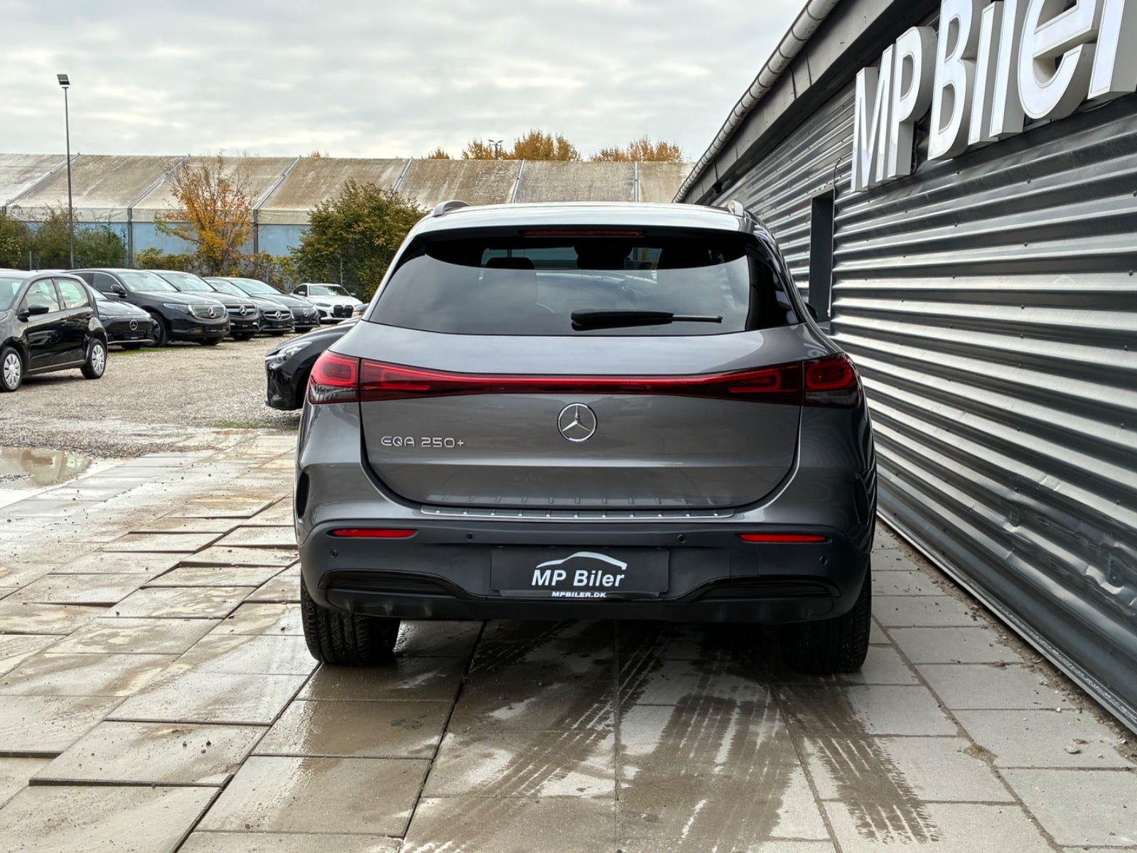 Billede af Mercedes EQA250+ AMG Line