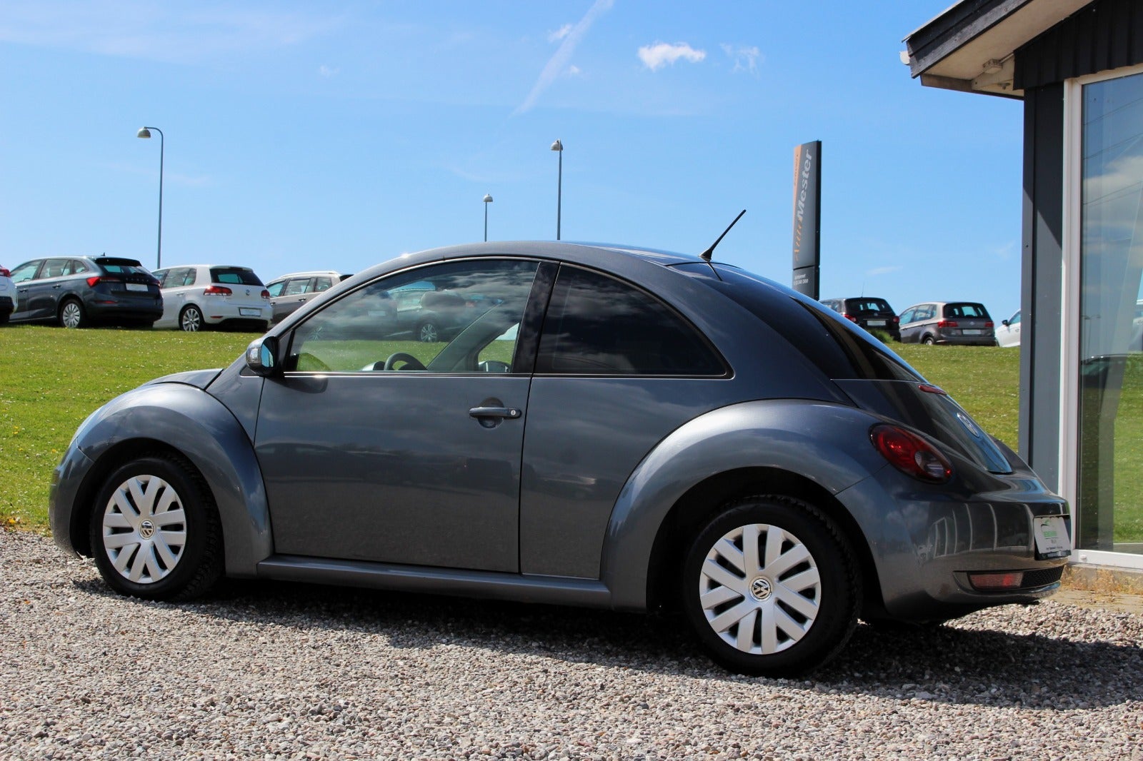 VW New Beetle Trendline