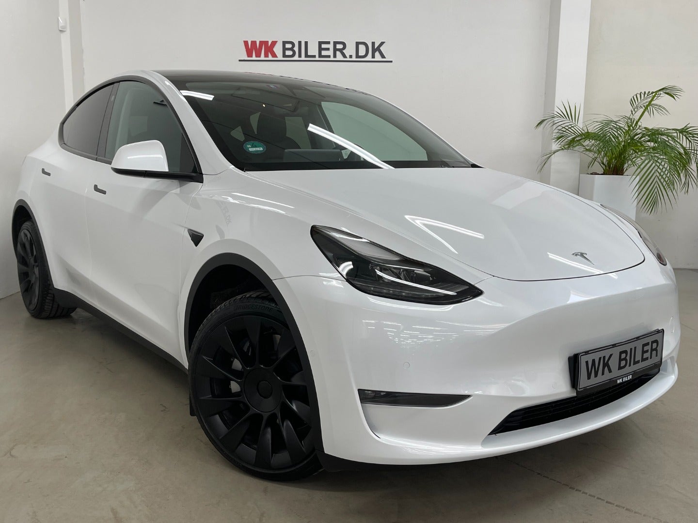 Tesla Model Y Long Range AWD 2021