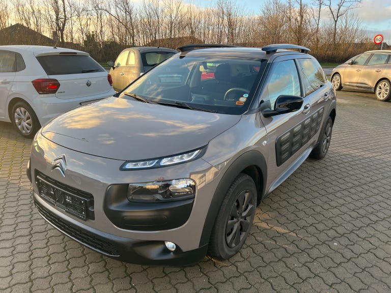 Citroën C4 Cactus BlueHDi 100 Feel Van