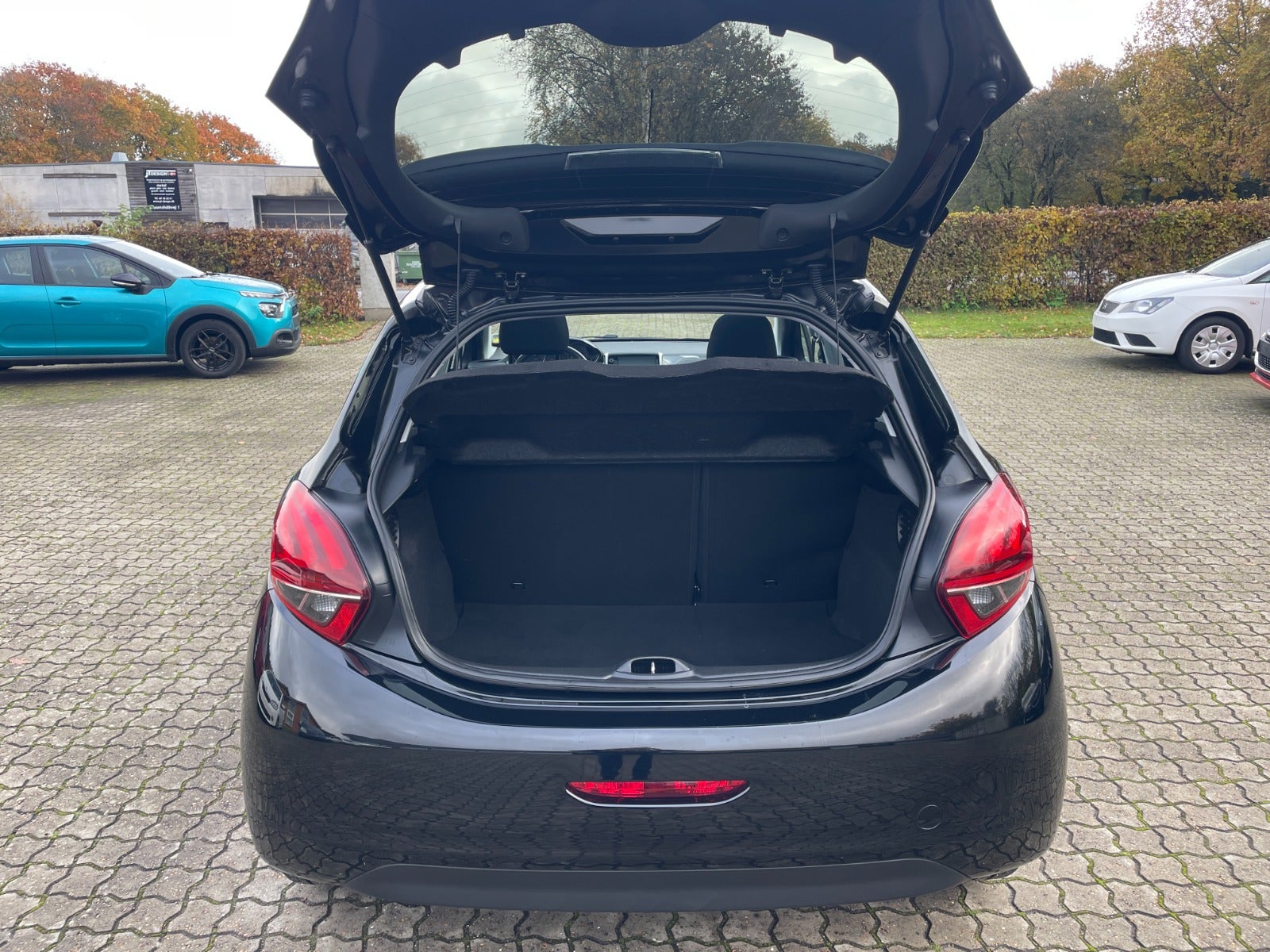 Peugeot 208 BlueHDi 100 Envy Sky