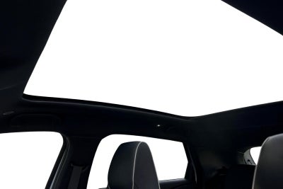 BYD Dolphin Design