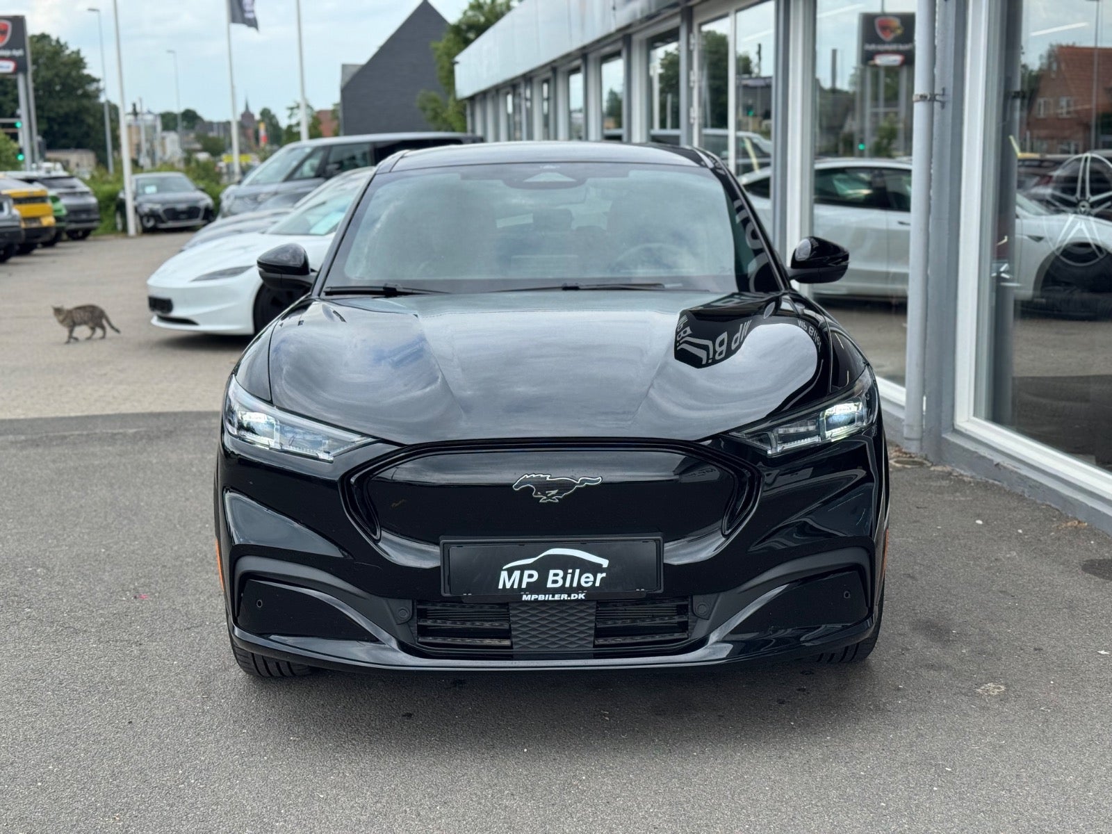 Billede af Ford Mustang Mach-E 73 Premium Standard Range AWD