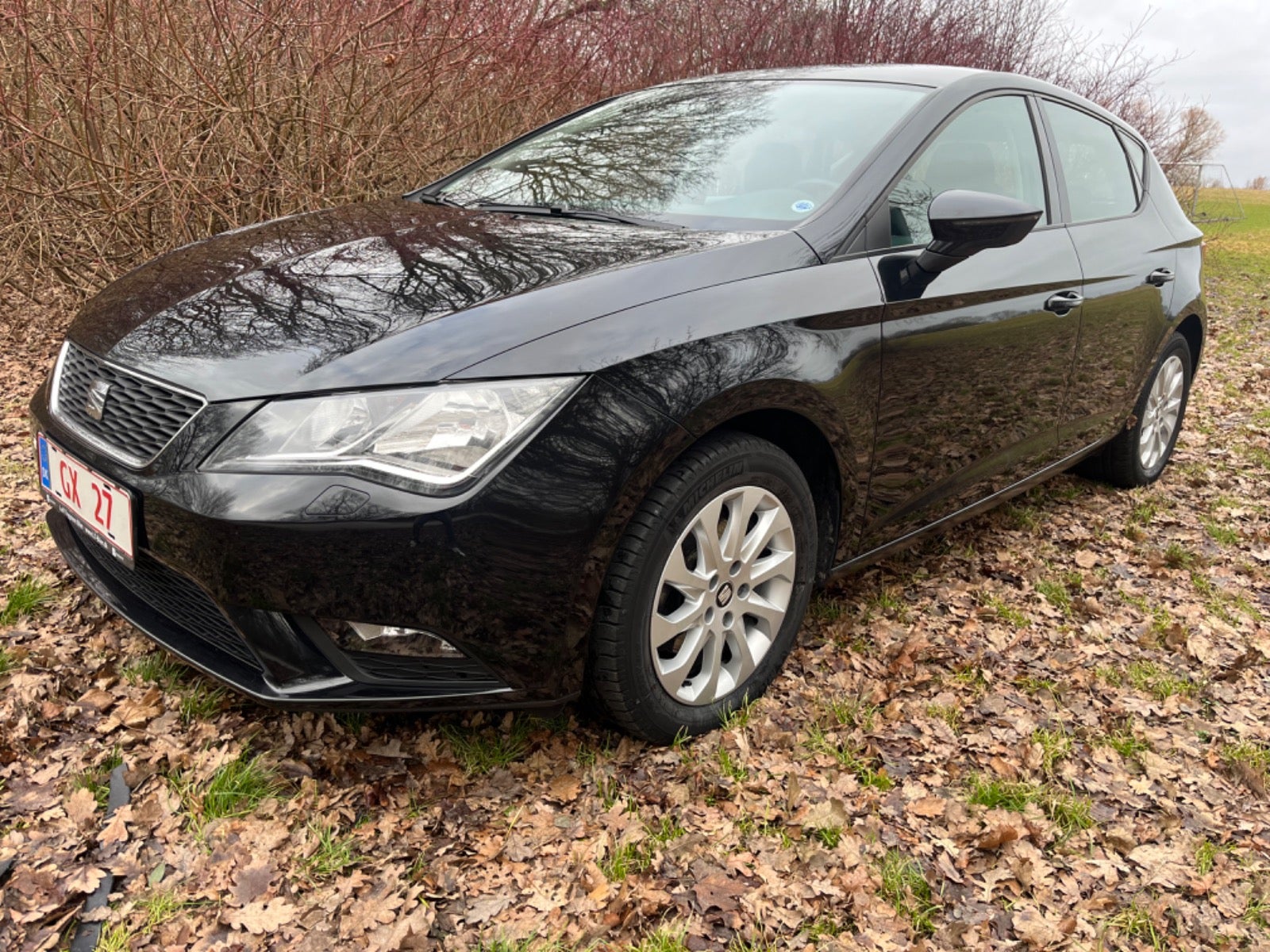 Seat Leon 2013