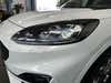 Ford Kuga HEV ST-Line X CVT Van thumbnail