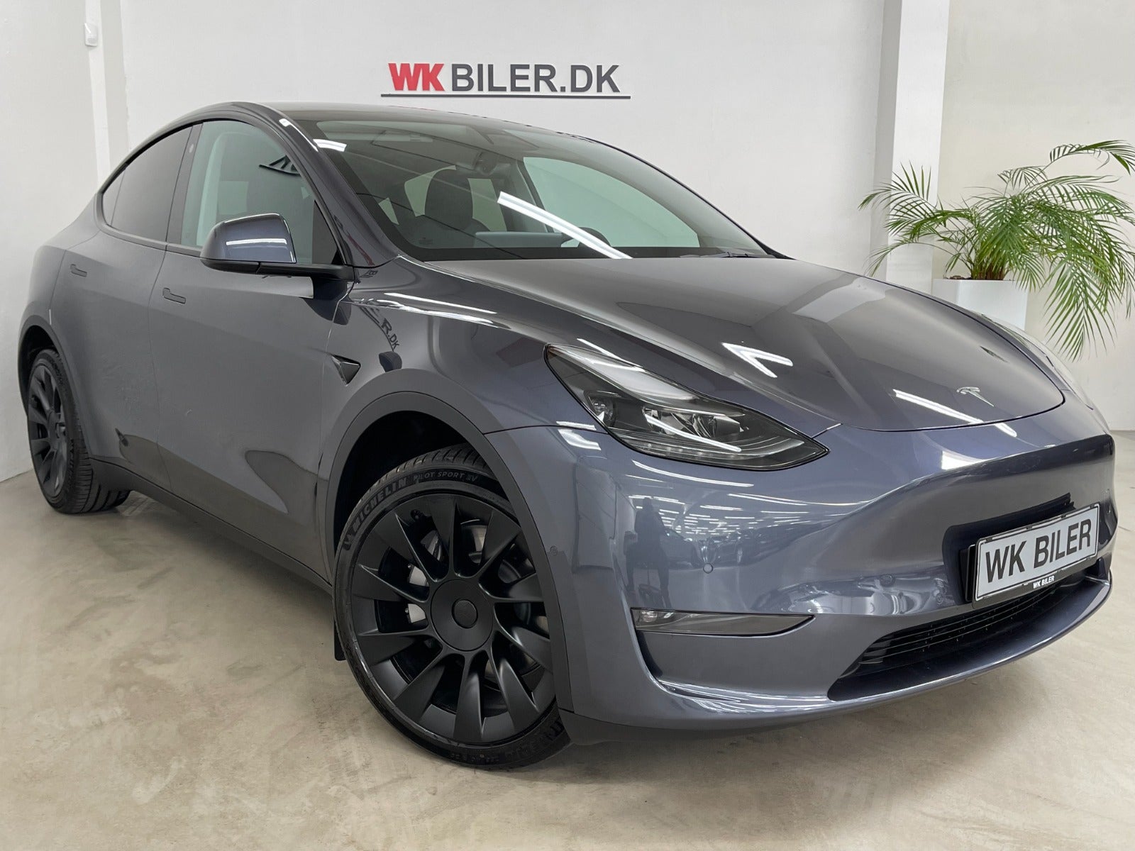Tesla Model Y Long Range AWD 2022
