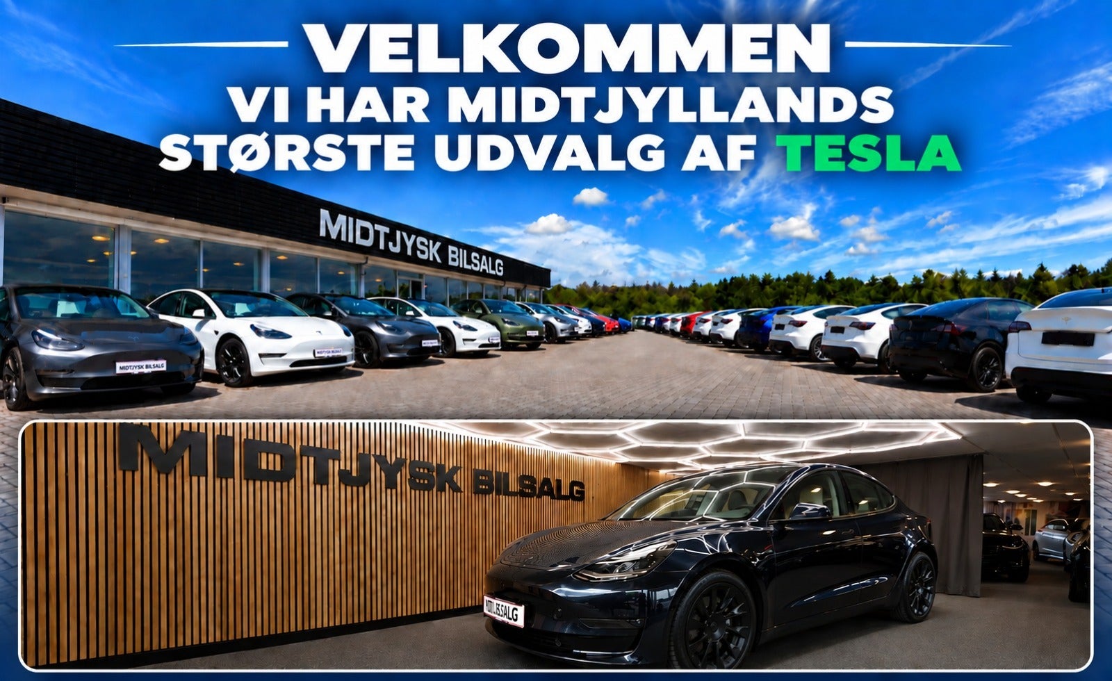 Tesla Model Y, Billede 1