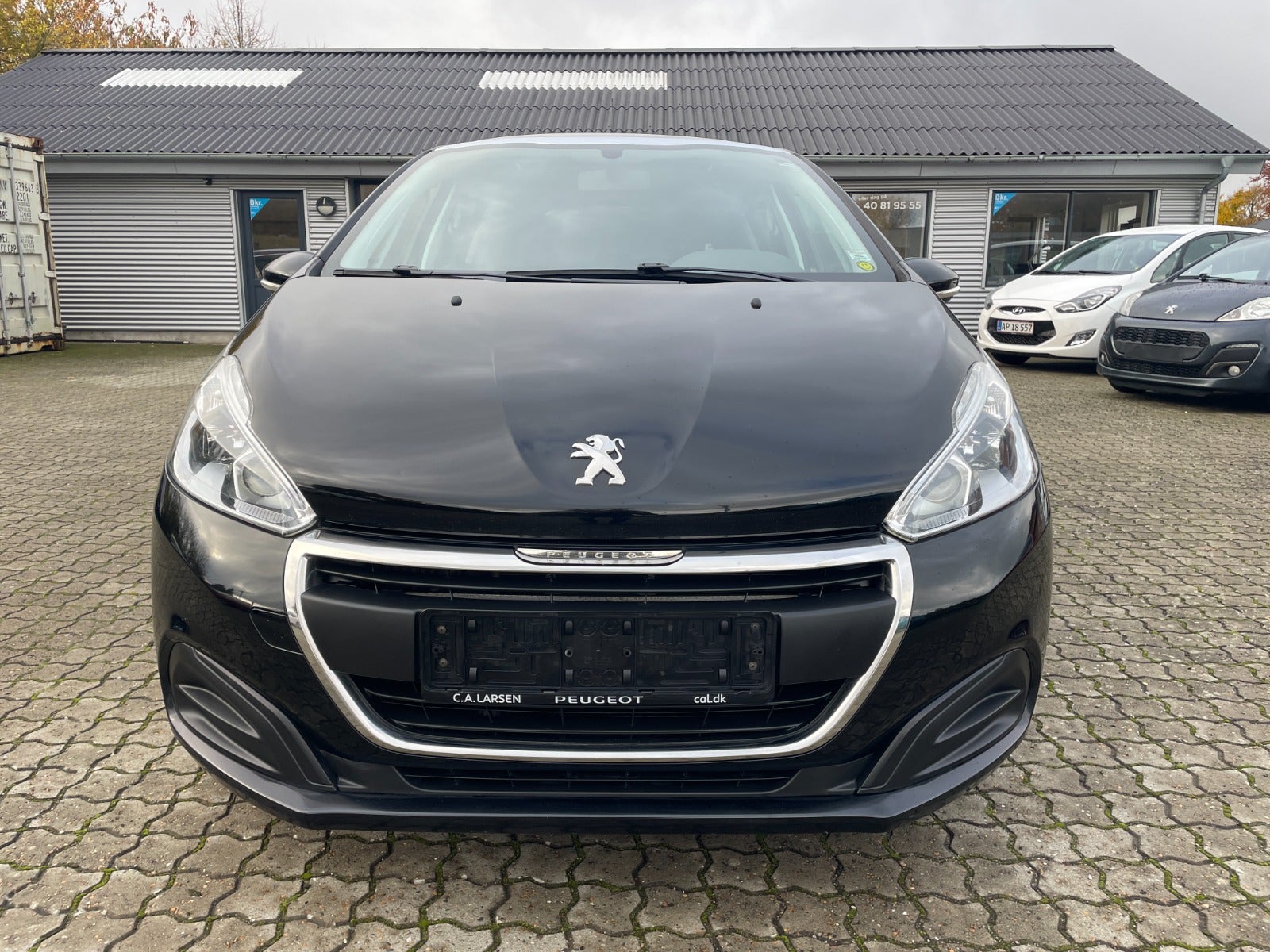 Peugeot 208 BlueHDi 100 Envy Sky