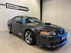 Ford Mustang Saleen Cobra thumbnail