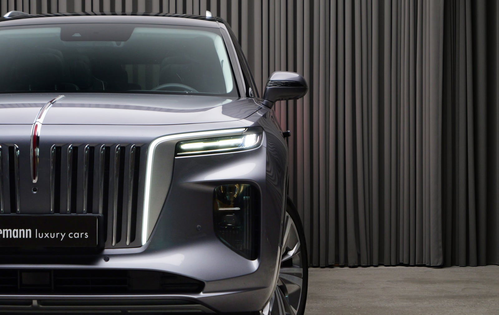 Hongqi E-HS9 Exclusive