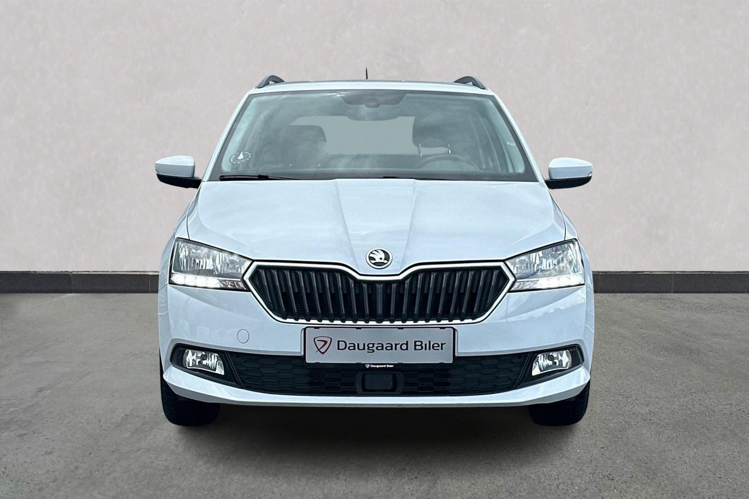 Billede af Skoda Fabia 1,0 TSi 95 Dynamic Combi DSG