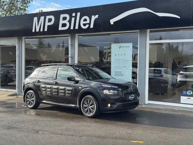 Citroën C4 Cactus 1,6 BlueHDi 100 SkyLine