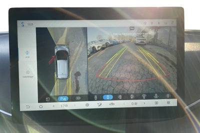 BYD Dolphin Surf Comfort