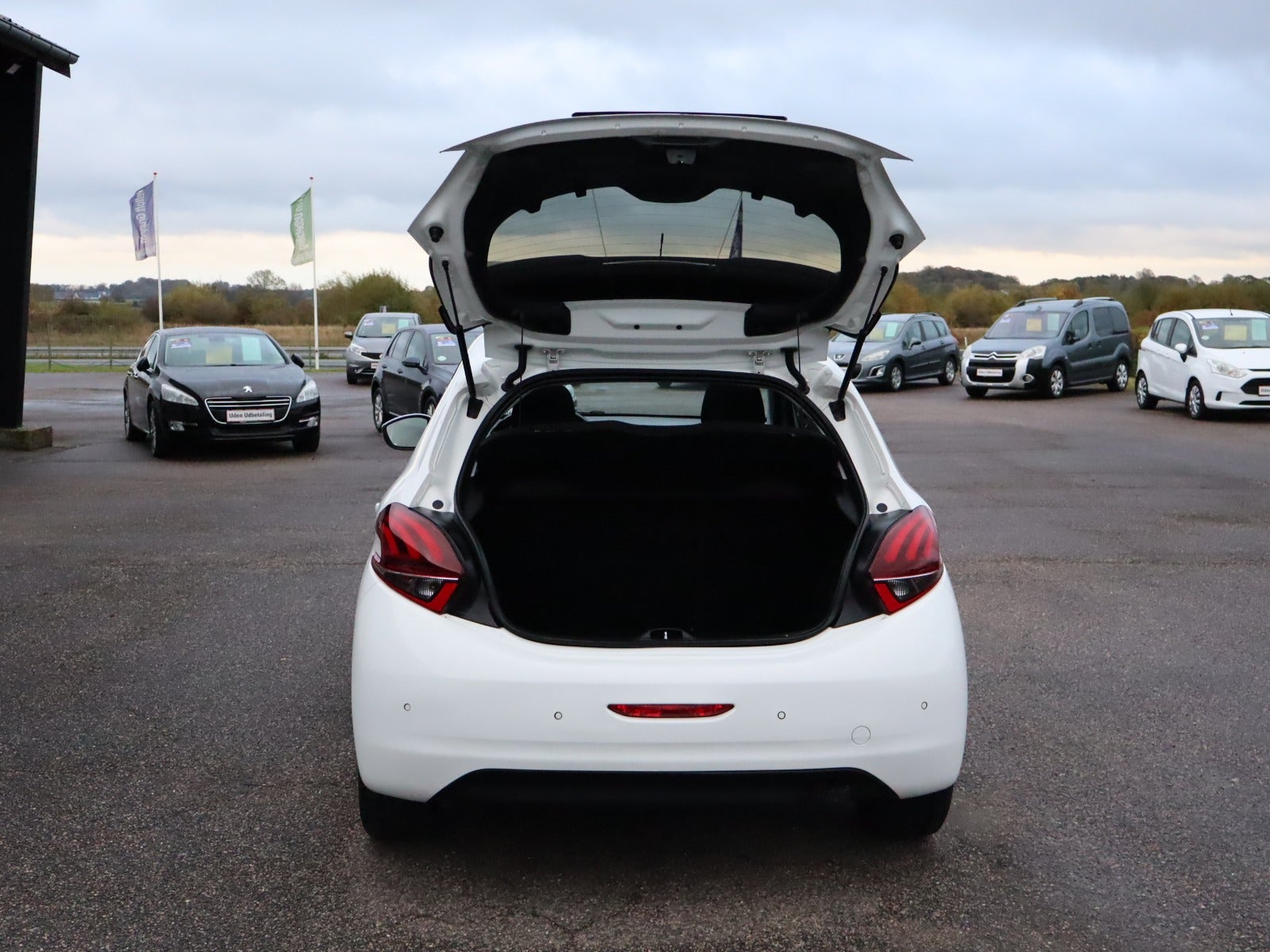 Billede af Peugeot 208 1,6 BlueHDi 100 Allure