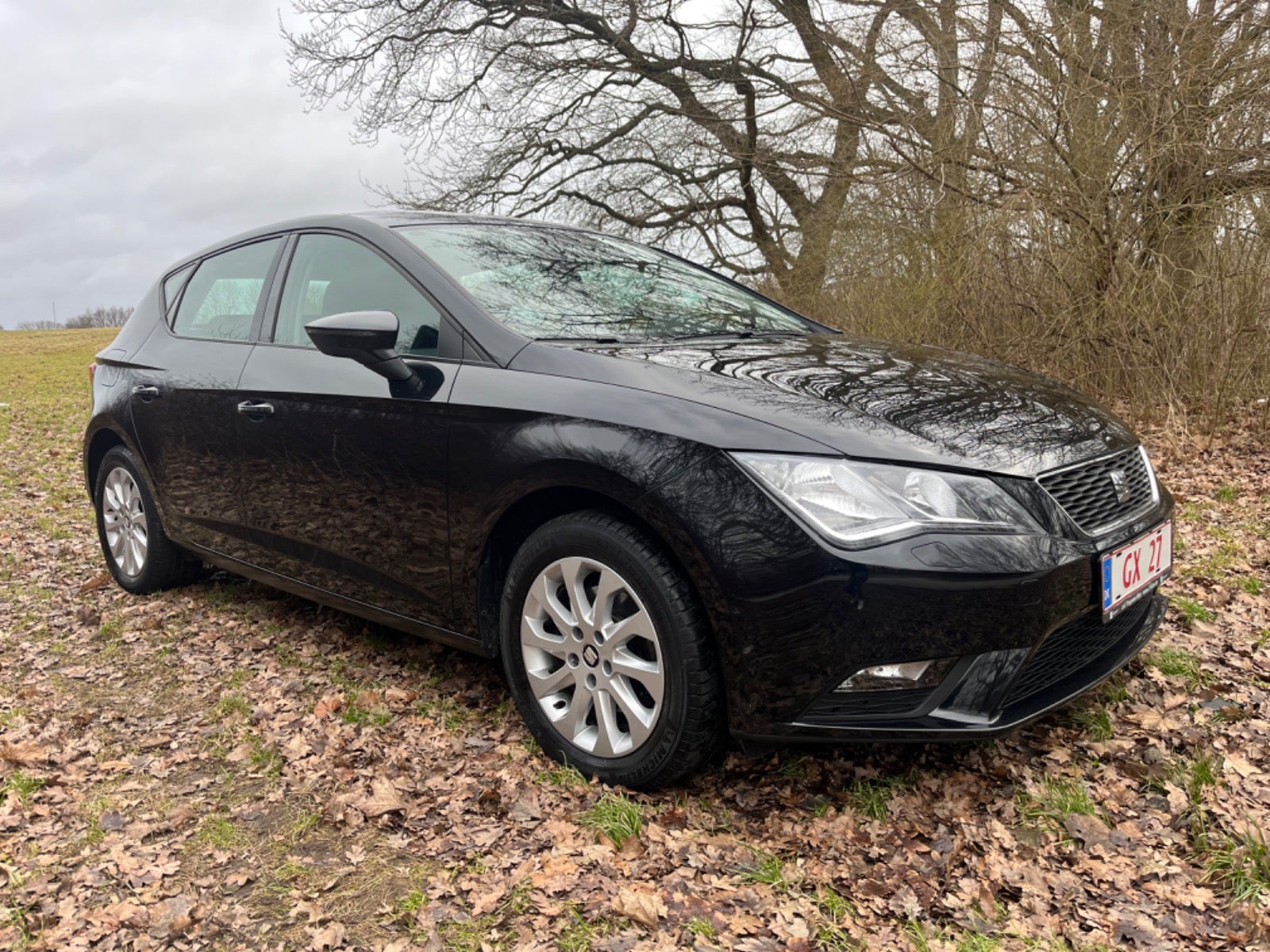 Seat Leon 2013