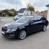 Skoda Octavia TDi 150 Business Line+ Celebration Combi DSG thumbnail