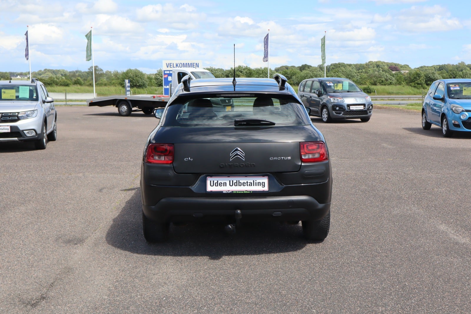 Billede af Citroën C4 Cactus 1,6 BlueHDi 100 Shine Edition