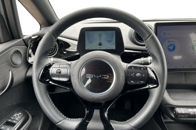 BYD Dolphin Comfort