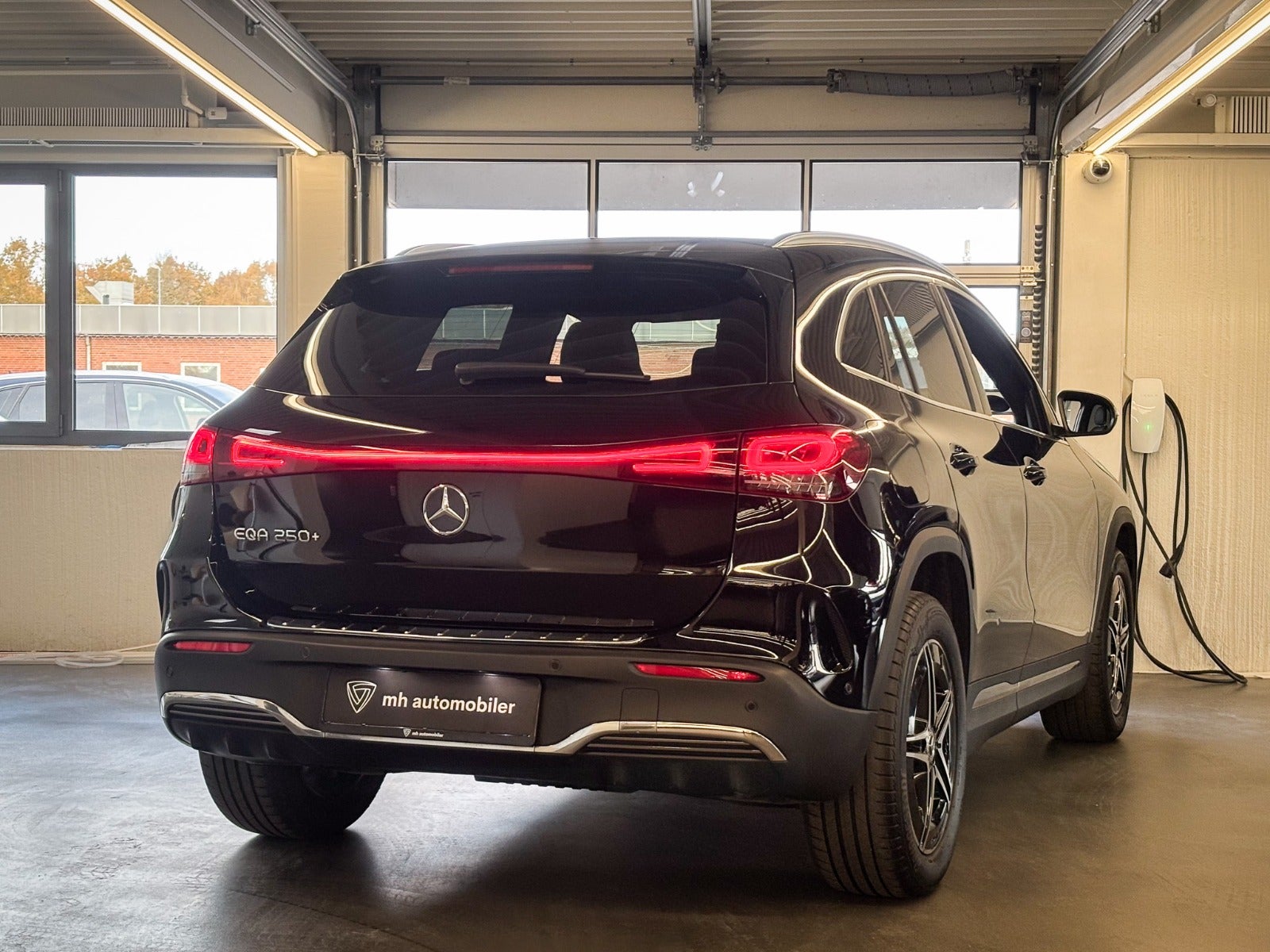 Billede af Mercedes EQA250+  AMG Line