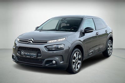 Citroën C4 Cactus BlueHDi 100 SkyLine Van