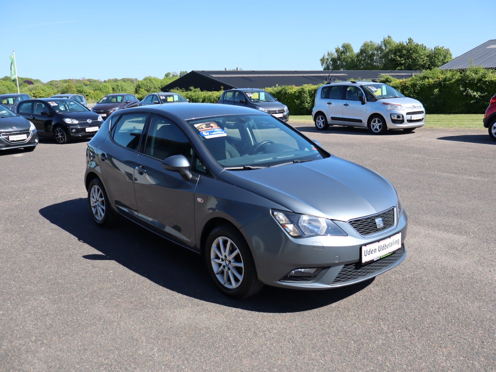 Billede af Seat Ibiza 1,0 TSi 110 Style