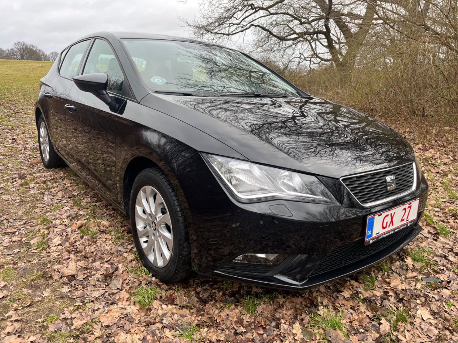 Seat Leon 2013