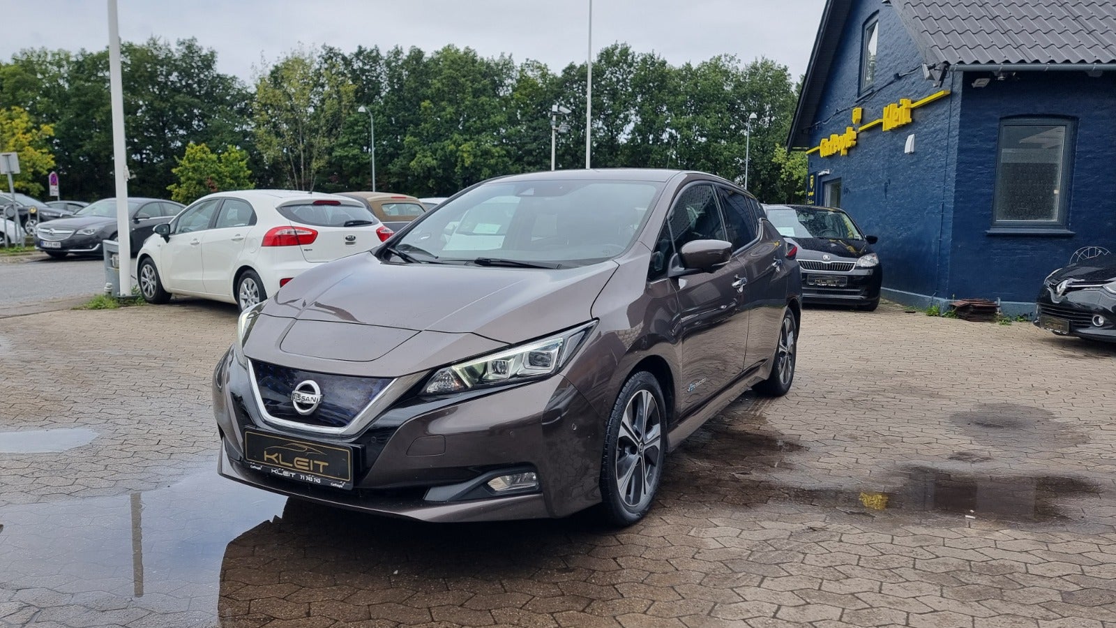 Nissan Leaf 2019