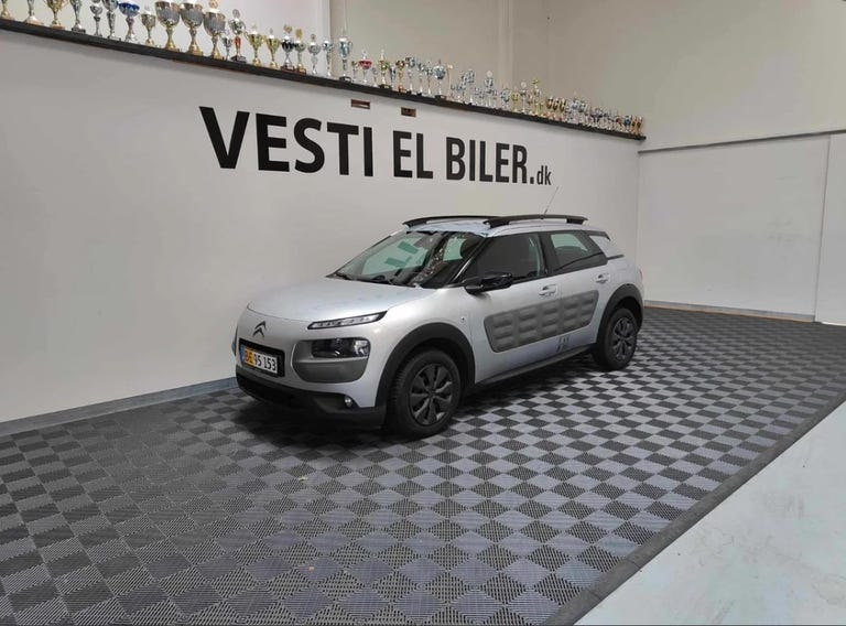 Citroën C4 Cactus BlueHDi 100 Feel Van