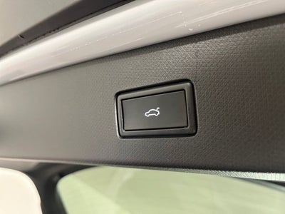 Cupra Tavascan Endurance Business Van