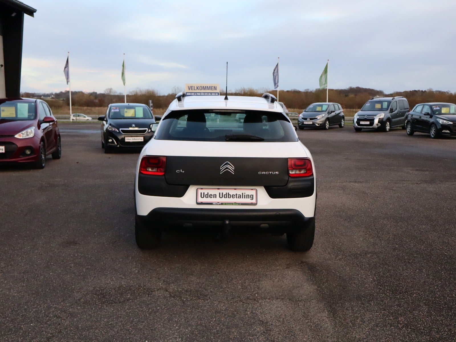 Billede af Citroën C4 Cactus 1,6 BlueHDi 100 Shine