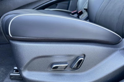 BYD Dolphin Design