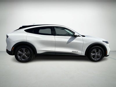 Ford Mustang Mach-E Standard Range billede 3