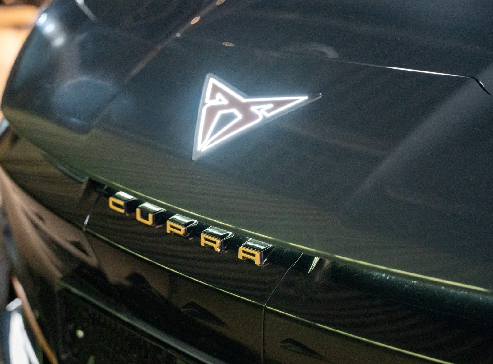 Billede af Cupra Tavascan 77 Endurance