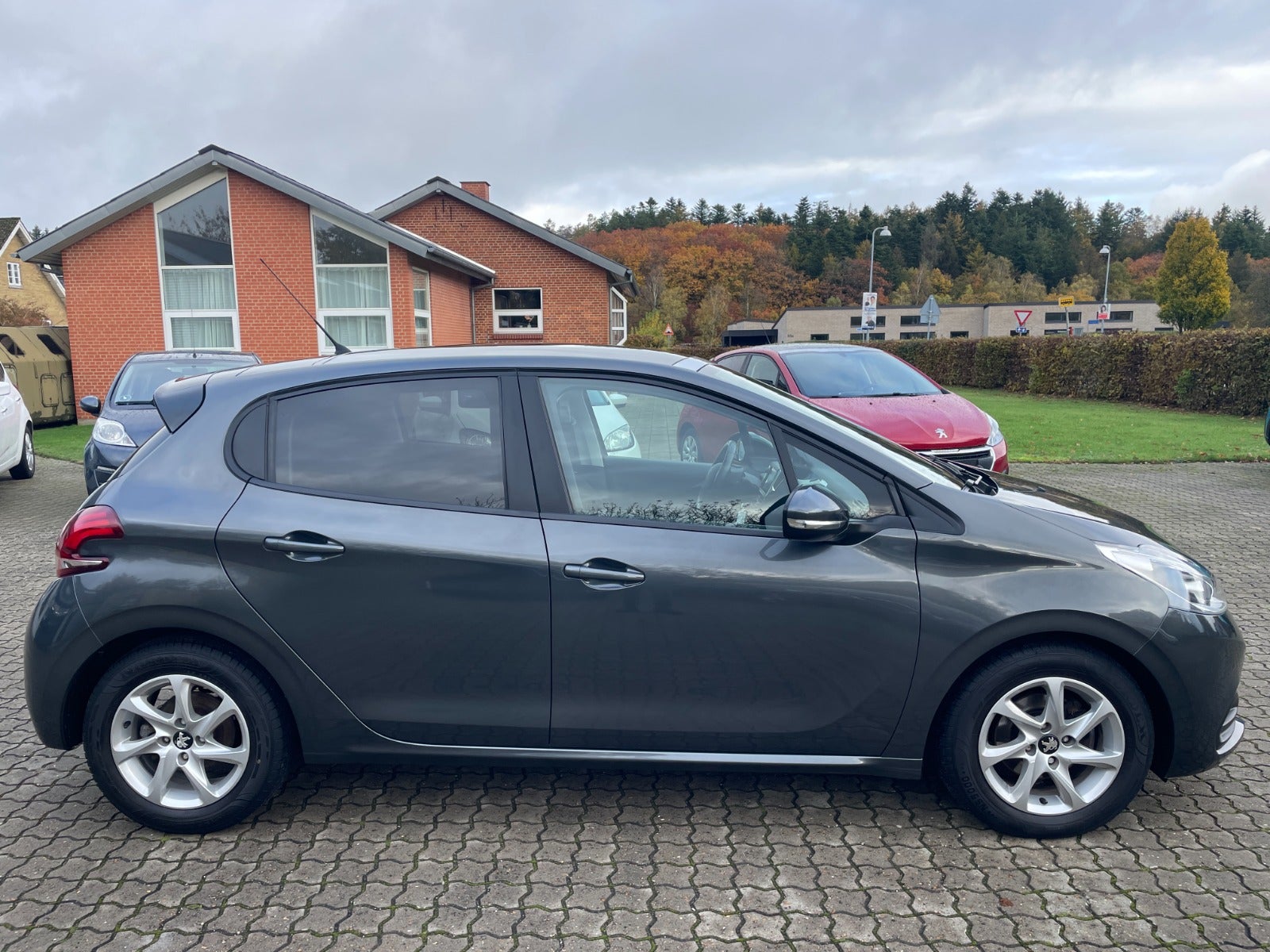 Peugeot 208 BlueHDi 100 Sky Winter Edition