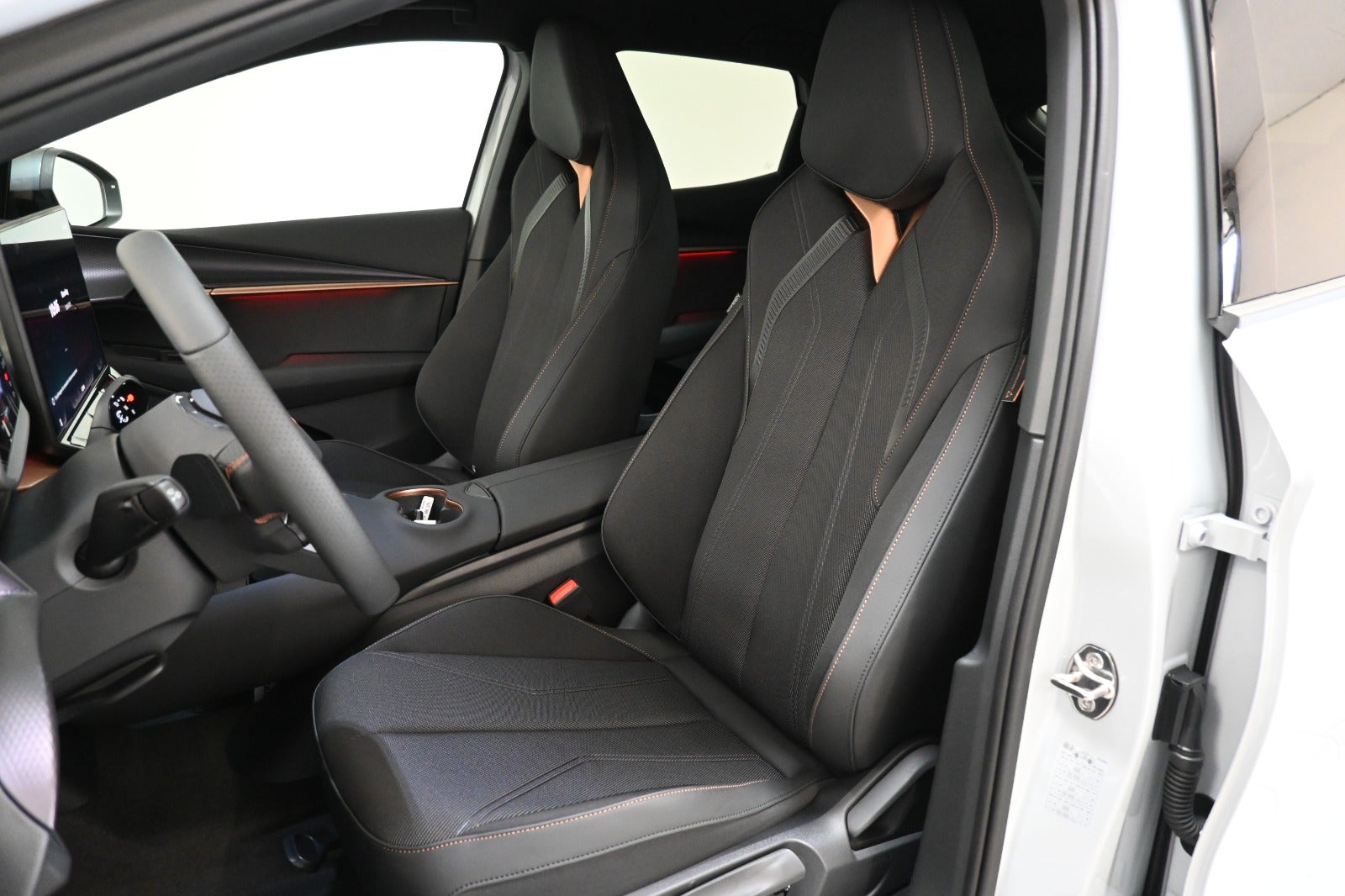 Cupra Tavascan Endurance