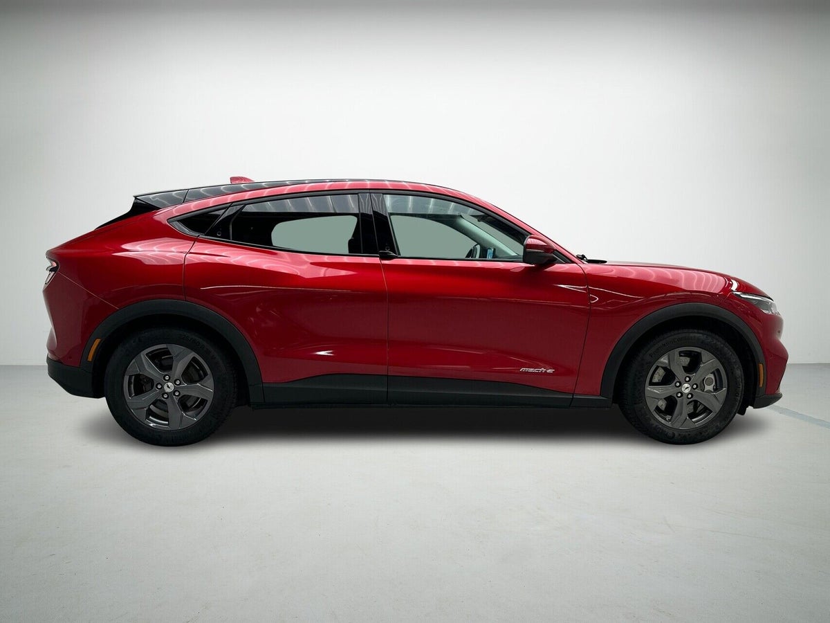 Ford Mustang Mach-E Standard Range billede 5