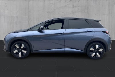 BYD Dolphin Design - 1