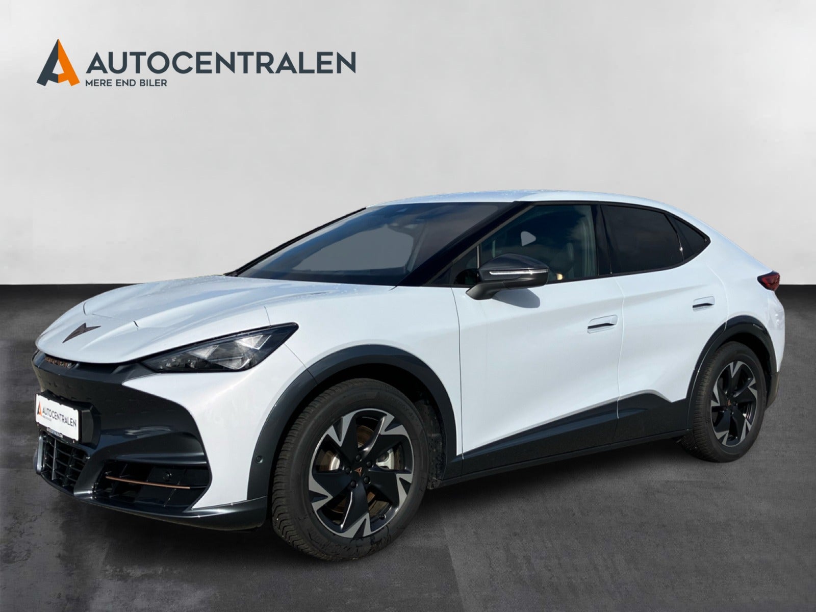 Cupra Tavascan Endurance