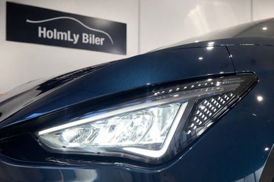 Cupra Born Dinamica Pack High